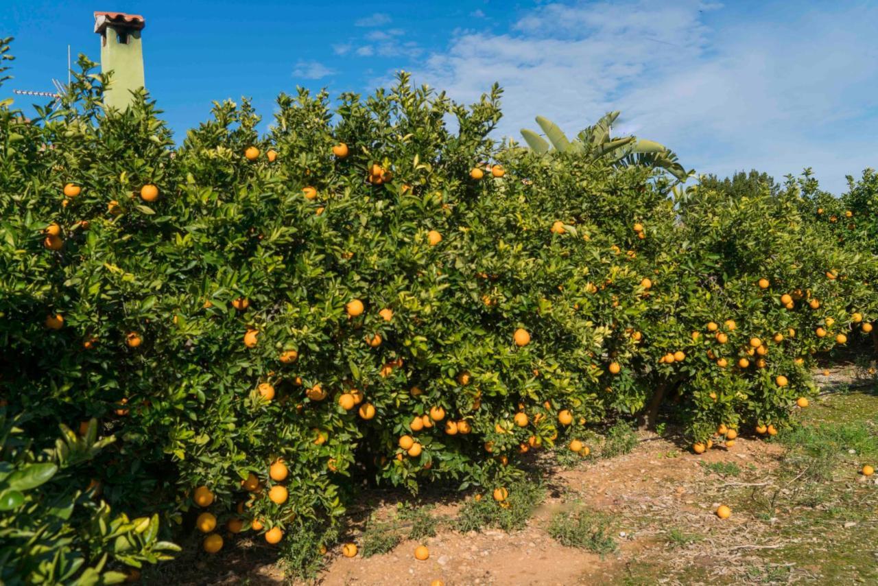Casa La Naranja Boutique B&B Pedreguer Zewnętrze zdjęcie
